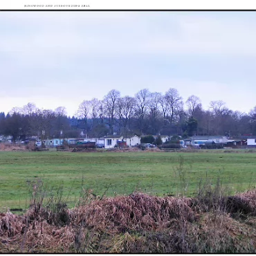 Ringwood, Hampshire, UK Nestled at the edge (now) of the New Forest, Ringwood is my home town in the UK